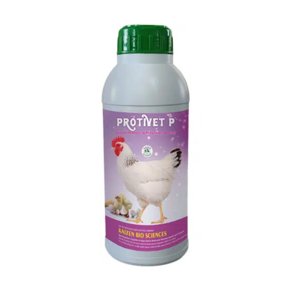 poultry feeds