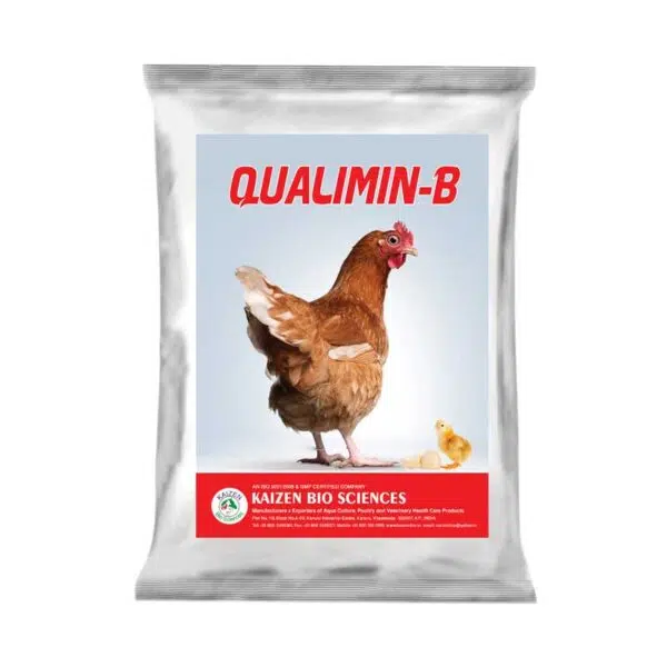 poultry feeds