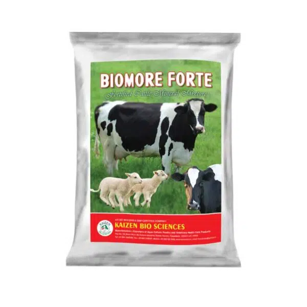 Animal feed supplements