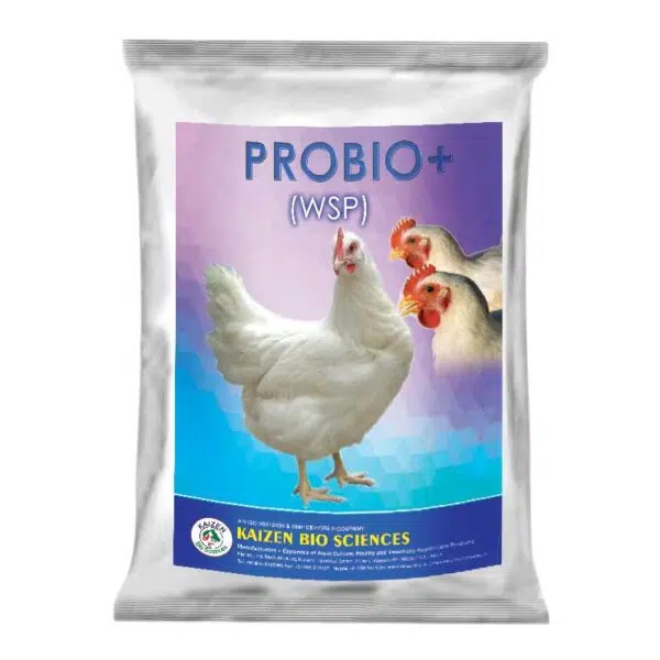 poultry feeds