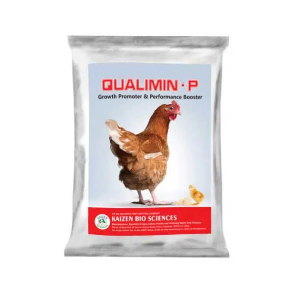 poultry feeds