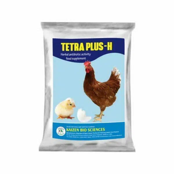 poultry feeds
