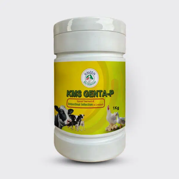 KMS GENTA-P